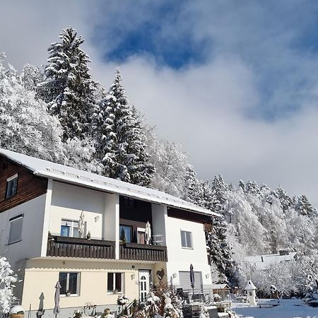 Ferienhaus Burgblick Треффен Екстер'єр фото