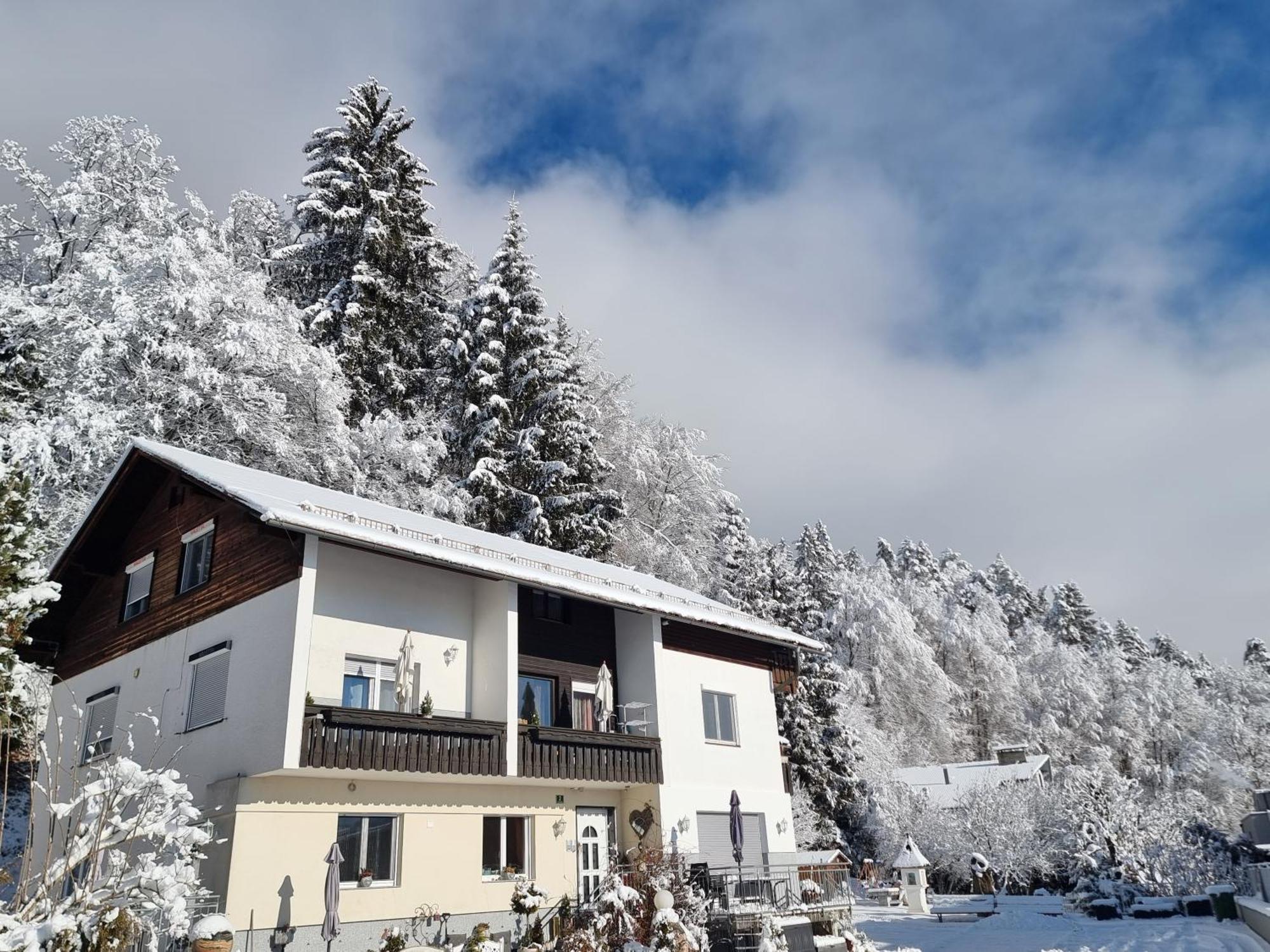Ferienhaus Burgblick Треффен Екстер'єр фото